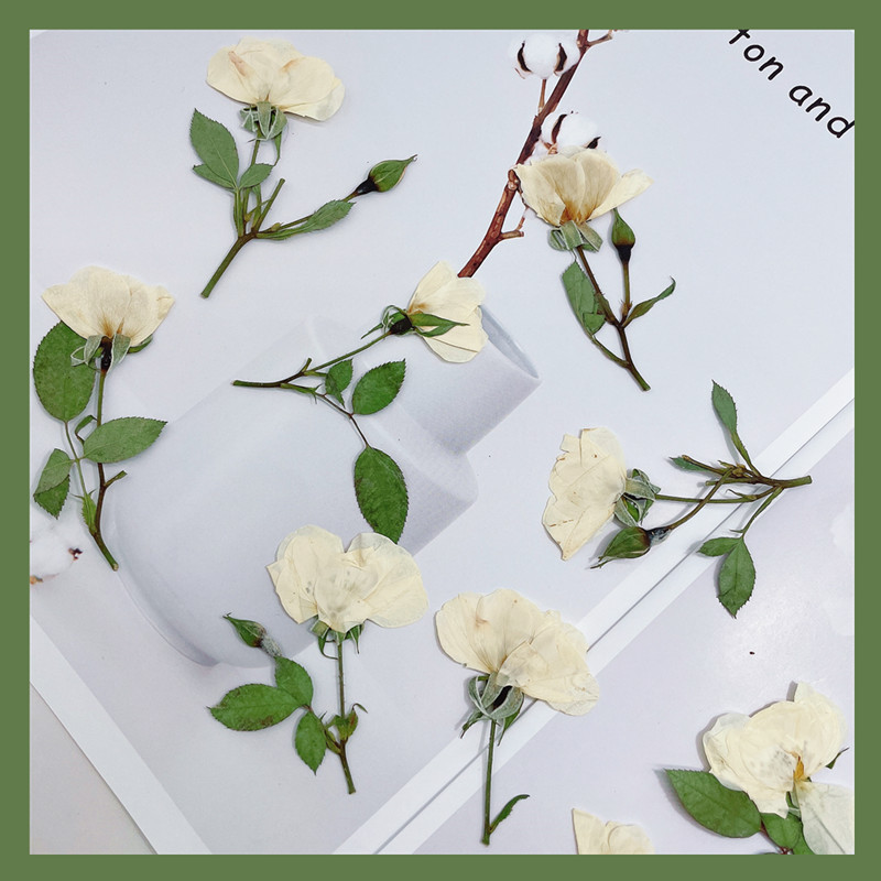 Wedding Card Box - 12 adet, Doğa Beyaz Pembe Kırmızı